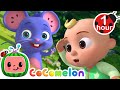 Play Peekaboo with JJ!  | Animals for Kids | Animal Cartoons | Funny Cartoons | Learn about Animals