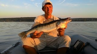на что ловить на сурском водохранилище на что ловить на сурском водохранилище