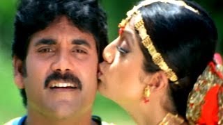 Hai Hai Nayakaa Attamma Koduka Video Song - Azad Movie - Nagarjuna, Soundarya, Shilpa Shetty