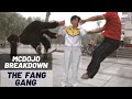 McDojo Breakdown: The Strange Truth of The Yan Fang Gang