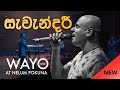 WAYO (Live) - Savendaree (සැවැන්දරී)
