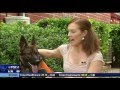 Woman, service dog turned away at McKinney Albertson's