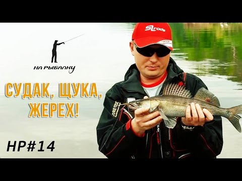 тактика ловли на дроп шот видео тактика ловли на дроп шот видео