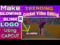 Cricket video editing tutorial/TapeBall Cricket Video Editing