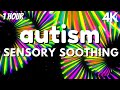 Autism Sensory Music: Meltdown Remedy Calming Visuals Rainbow Fireworks