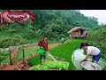 Full video 100 days | Build a farm, raise chickens, release fish | Live with nature
