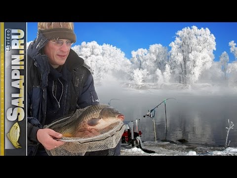 как отсечь мелкую рыбу при ловле карася как отсечь мелкую рыбу при ловле карася