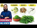"Moringa" Ke TAMAM Fawaid! Moringa Powder Benefits | Sohanjna | Dr. Ibrahim