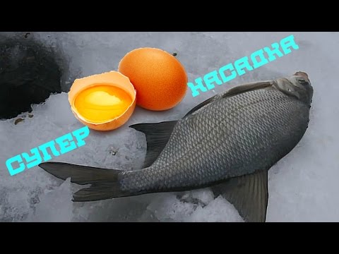 карась плотва прикормка видео карась плотва прикормка видео