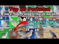 Top 20 Perkutut, No 16 Ada yang Punya Tidak Para Sobat Kung Mania