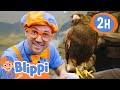 Blippi Feeds and Plays With the Animals at the Zoo! | 2 HOURS OF BLIPPI TOYS!