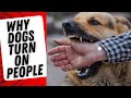 Why dogs turn on their owners