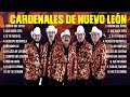 Cardenales de Nuevo León ~ Mix Grandes Sucessos Románticas Antigas de Cardenales de Nuevo León