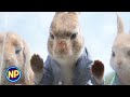 The Bunnies Go to Town | Peter Rabbit