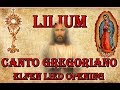 Lilium (Elfen Lied Opening) - Canto (Sub Español)