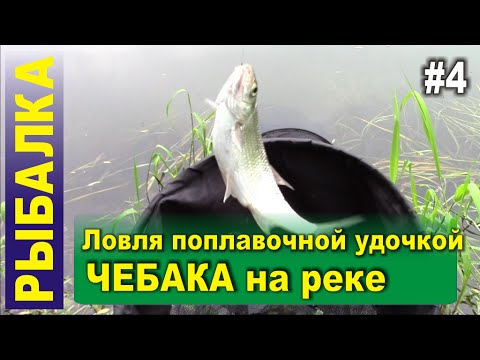 простая прикормка для чебака простая прикормка для чебака