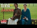 Tu Kya Jaane ||Lofi Song || FROM Amar Singh Chamkila Movie