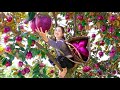 Harvesting Purple Star Apple with his disabled younger brother Goes to the market sell