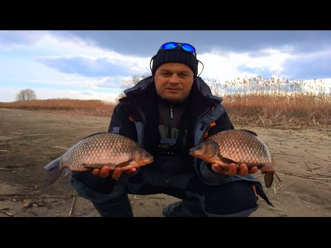 рибалка на карася і приманки видео в украине на поплавок рибалка на карася і приманки видео в украине на поплавок