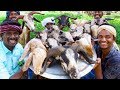 KING of GOAT HEAD CURRY | Goat Heat Recipe Cooking in Village by Villagers | Tasty Village Food