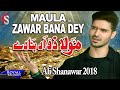 Ali Shanawar | Maula Zawar Bana Dey | 2018 / 1440