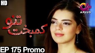 Kambakht Tanno - Episode 175 Promo | A Plus ᴴᴰ Drama | Shabbir Jaan, Tanvir Jamal, Sadaf Ashaan