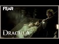 Killing Count Dracula (Final Scene) | Dracula (1979) | Fear