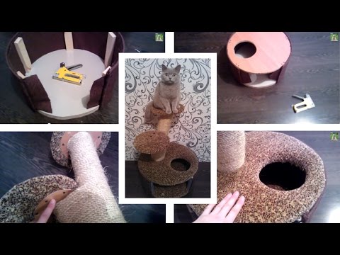 Кошка своими руками самому Кошка своими руками самому