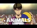 [AMV] Haikyuu!! - Animals