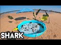 DIY Saltwater  Fish Pond  At The Beach  With A Shark