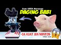 DAGING BABI SEGAR DI MIKROSKOP | Pig Meat Pork Microscope Zoom 1000X
