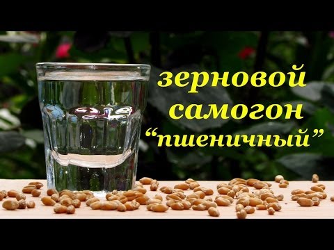 Как сделать водку из зерна Как сделать водку из зерна