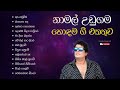 Namal Udugama best songs collection | නාමල් උඩුගම හොඳම ගීත එකතුව | Sinhala Songs Collection