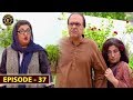Bulbulay Season 2 | Episode 37 | Ayesha Omer & Nabeel | Top Pakistani Drama