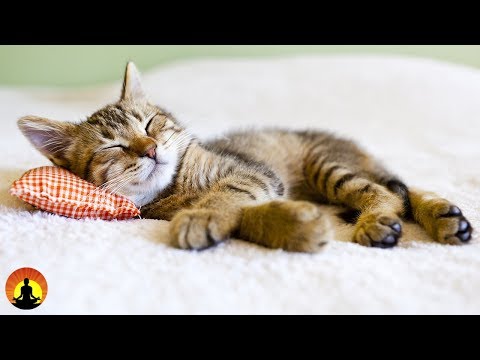 sleeping sex spy download wife fuckers sex stories