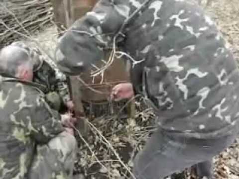 ловим кабанов видео ловим кабанов видео