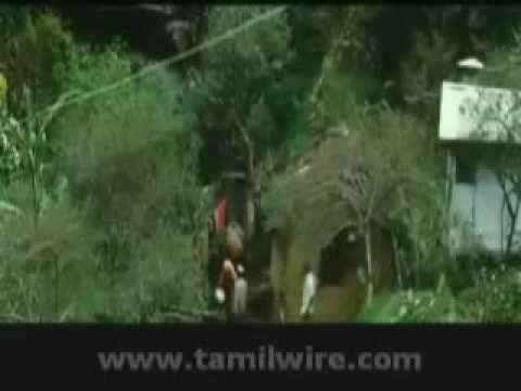 Tamilwire xxx photos download, hottest most sexiest naked girls on earth