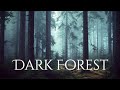 DARK FOREST Ambience and Music - sounds of dark misty forest with ambient music