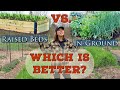 Raised Beds Versus In Ground Gardening-- Which is better?