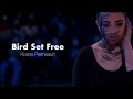 Bird Set Free | A Dance Concept