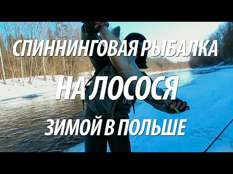 рыбалка на карася с нормундом грабовскисом на поплавочную удочку рыбалка на карася с нормундом грабовскисом на поплавочную удочку