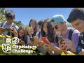 TAKE PART in the CITY NATURE Challenge! Document NATURE Where People Live! April 26-29th