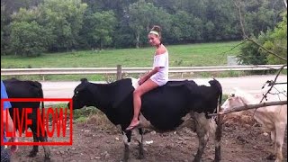 World Amazing Modern Sexy Girls Women Riding on Cows and Pigs Fun Epic Fail Top 10 Viral Video #SON