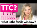 OVULATION: Understanding Your Fertile Window and Cycle Tracking