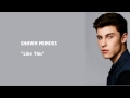 Shawn Mendes - Like This (lyrics)