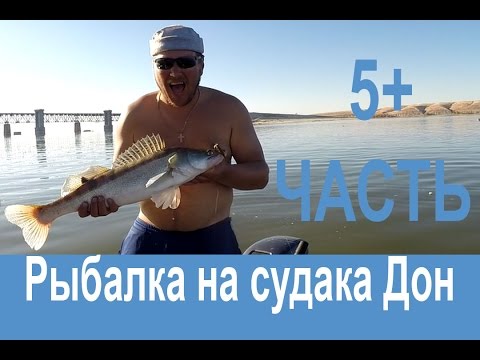 ловля судака в 2014 году ловля судака в 2014 году