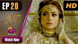 Drama Is Chand Pe Dagh Nahin - Episode 20 Aplus ᴴᴰ Dramas Zarnish Khan, Firdous Jamal Drama Is Chand Pe Dagh Nahin - Episode 20 Aplus ᴴᴰ Dramas Zarnish Khan, Firdous Jamal
