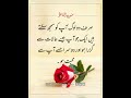 Amazing Collection Quotes In Urdu | Urdu Poetry | Islamic Urdu Quotes | Urdu Quotes | Urdu Shayari