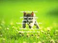 WAPBOM COM Terima kasih guruku wmv