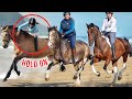 Riding 3 horses *bareback* on the beach